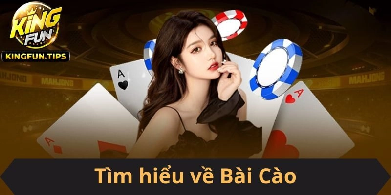 Tìm hiểu về Bài Cào