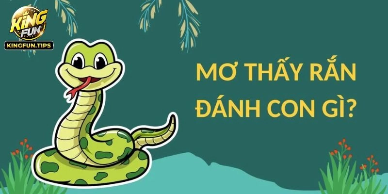 Cùng Kingfun Giải Mã Chi Tiết Điềm Báo Khi Nằm Mơ Thấy Rắn